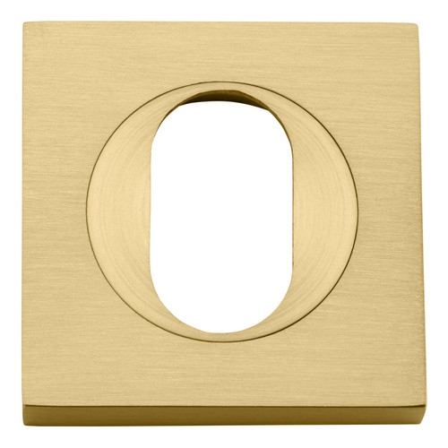 Iver Square Oval Cylinder Escutcheon - 52 x 52mm - Brushed Gold PVD (Pair)