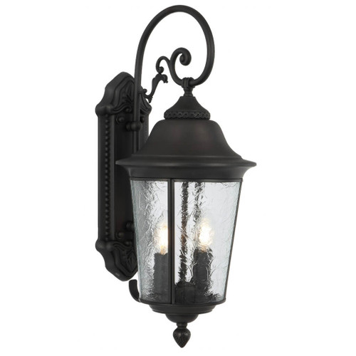 Telbix Tremont Outdoor Wall Light - Clear Glass - Black