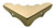 Tradco Box Corner - 45 x 15mm - Polished Brass