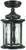 Lighting Inspirations Argyle Outdoor Ceiling Light - 300 x 170mm - Antique Black