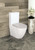 Fienza Alix Rimless Back To Wall Toilet Suite - Gloss White