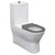 Fienza Delta Rimless Care Back To Wall Toilet Suite - Gloss White