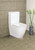 Fienza Empire Back To Wall Toilet Suite - Gloss White