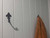 From The Anvil Fleur-De-Lys Coat Hook - 114 x 52mm - Beeswax