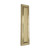 Domino Stepped Georgian Push Plate - 285 x 74mm - Polished Brass