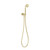 Phoenix Wiltern Handheld Shower - Brushed Gold
