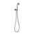 Phoenix Wiltern Handheld Shower - Brushed Carbon