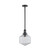 Lighting Inspirations Jefferson Rod Pendant Light - Clear Glass - 250mm - Matte Black
