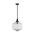 Lighting Inspirations Jefferson Rod Pendant Light - Clear Glass - 350mm - Matte Black