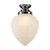 Lighting Inspirations DIY Batten Fix Light - Asheville Frost Glass - 280 x 200mm - Chrome