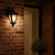 Telbix Delfino Outdoor Wall Light - Frost Glass - Black