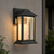 Telbix Jovaro Outdoor LED Wall Light - Water Glass - Black