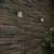 Telbix Miro Outdoor Wall Light - Single Light - Grey