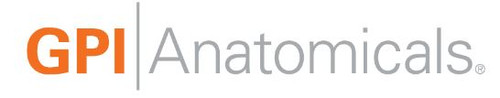 GPI Anatomicals GPI Anatomicals