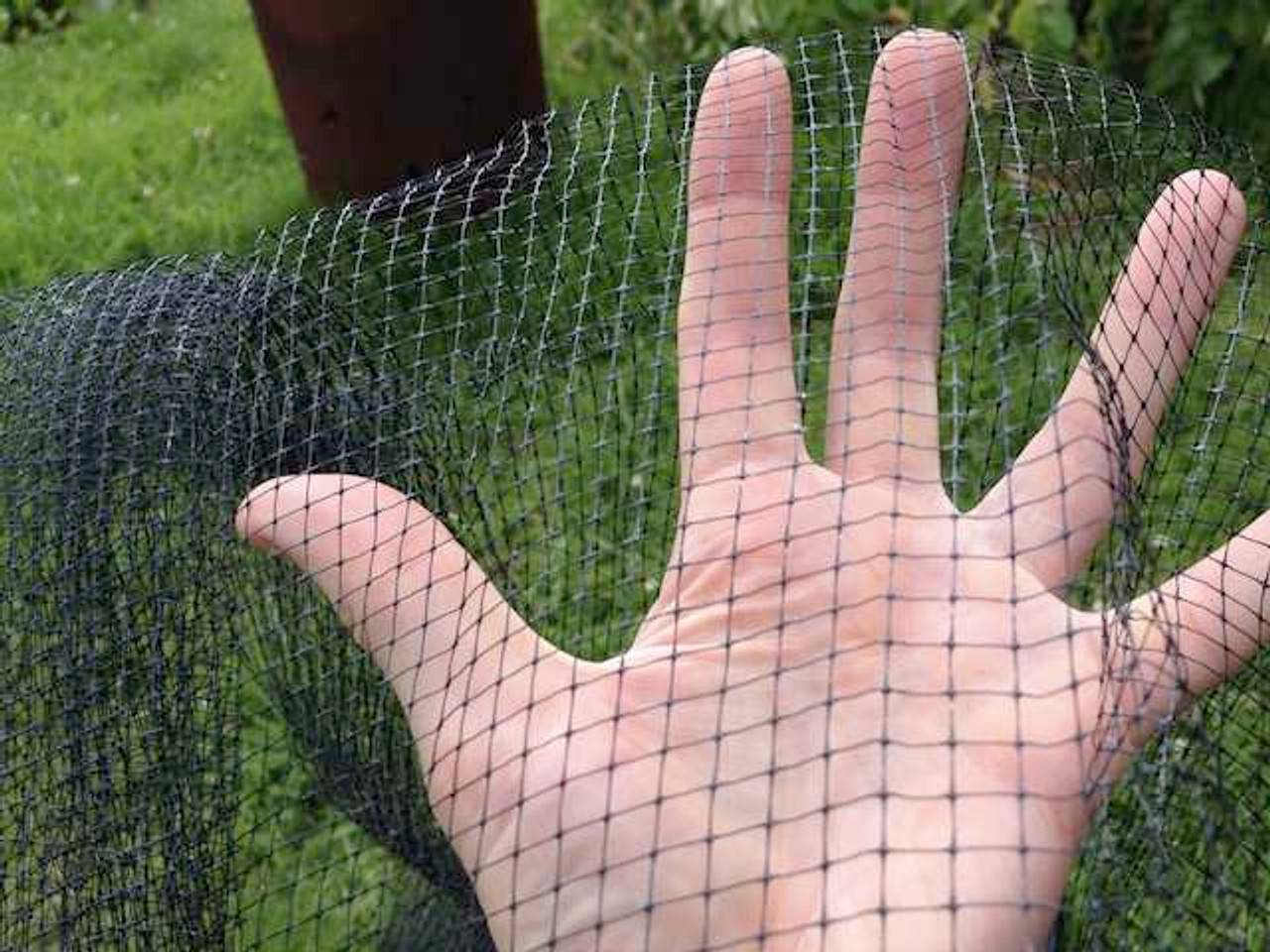 Butterfly and Bird Netting - Garden Mesh Protection & Bird Control