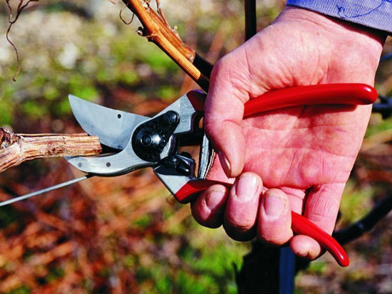 Felco no.2 garden secateurs