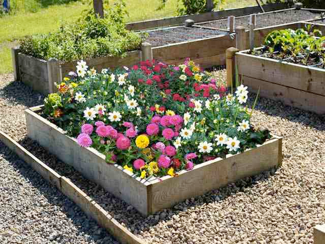 Raised timber flower bed, 22.5cm high