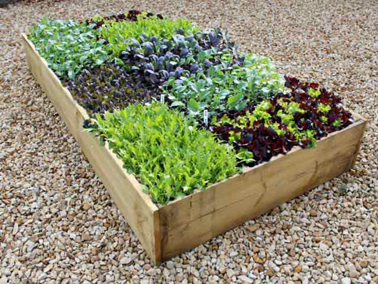 timber allotment raised bed