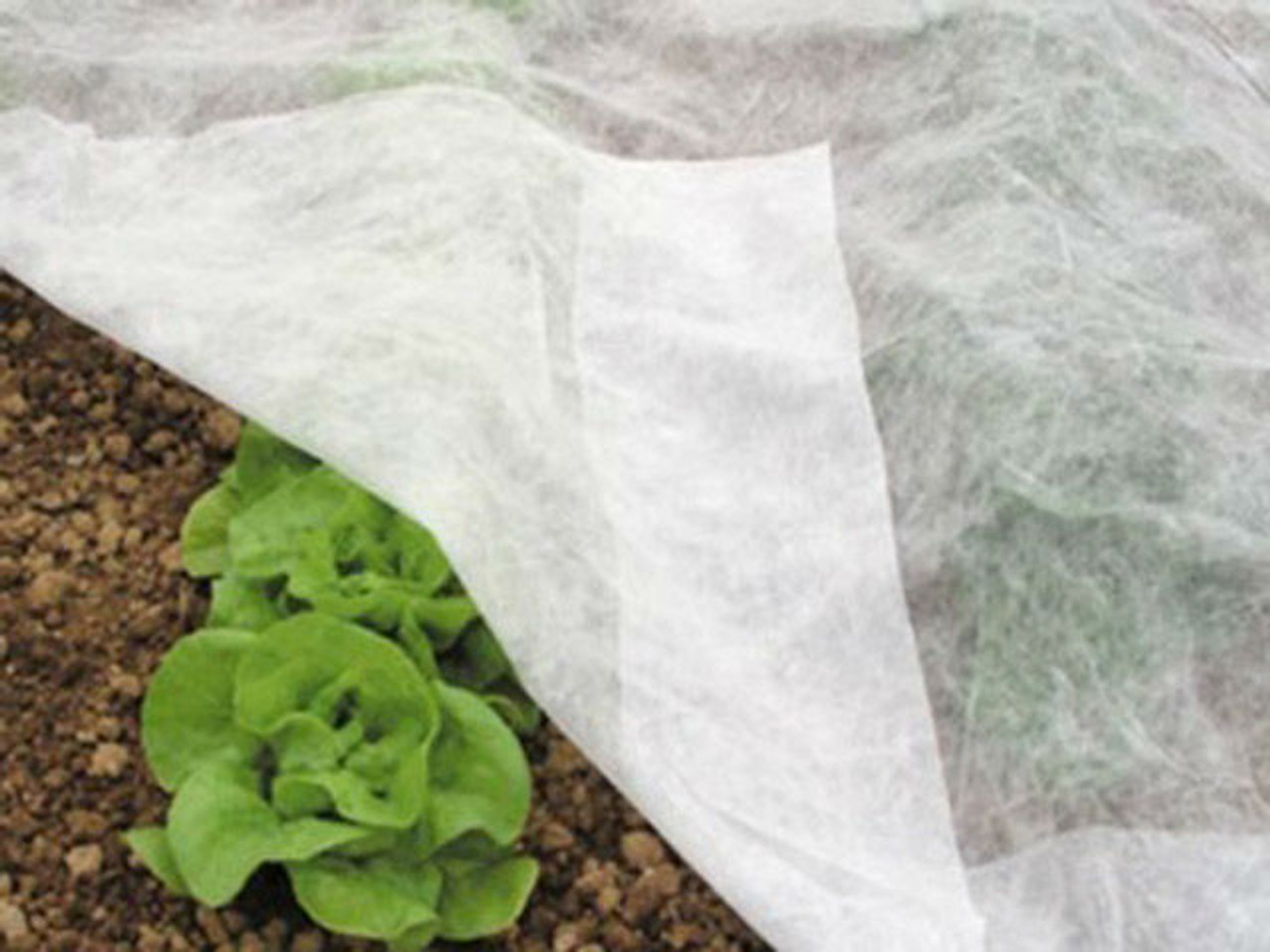 Агроспан Укрывной Материал Купить В Леруа Мерлен