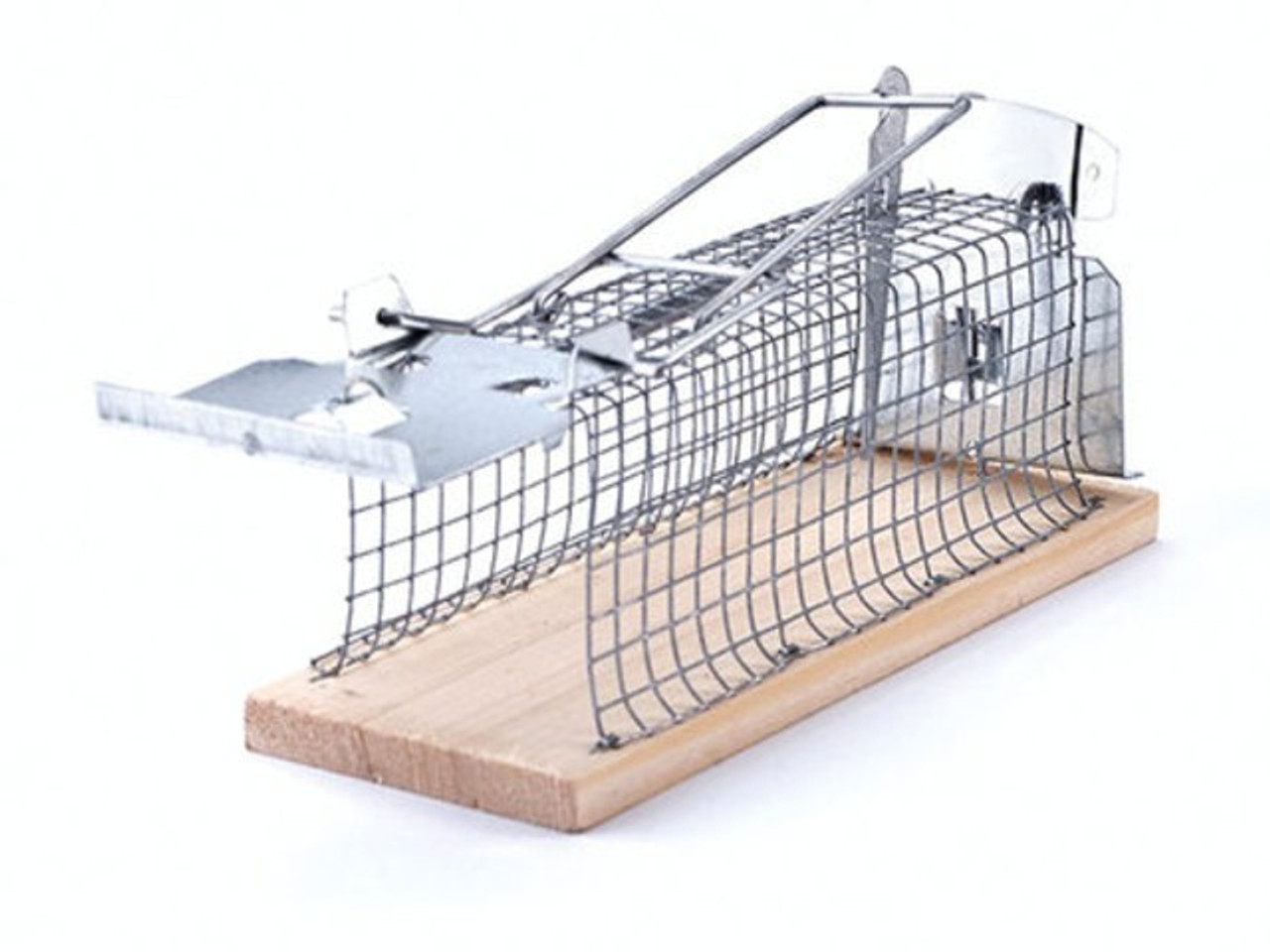 https://cdn11.bigcommerce.com/s-5iaef8cbv6/images/stencil/1280x1280/products/999/2708/supercat-mouse-cage-trap__48002__79451.1645105709.jpg?c=1