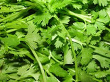 How to Grow Coriander