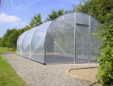 Polytunnel Gardening