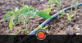 Automatic Garden Watering Systems 