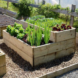 Gardening With Raised Beds: Frequently Asked Questions