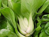 How To Grow Pak Choi