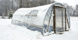 The Polytunnel in January