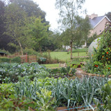 Soil Improvement for Vegetable Gardeners