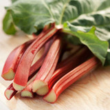 Growing Rhubarb