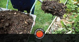 The Benefits of Mulching in the Garden