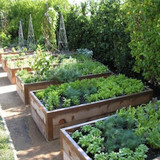 Raised bed vegetable gardening in the UK