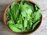 How To Grow Sorrel