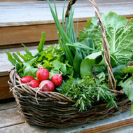 Christmas gardening gifts for the Vegetable grower