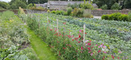 Burtown Kitchen Garden Diary – How to Build a Polytunnel