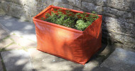 How to Grow Carrots In Containers