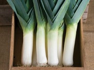 How To Grow Leeks