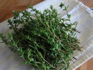 How To Grow Summer Savory