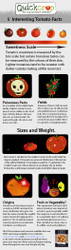 Amazing Tomato Facts With Infographic