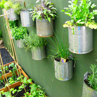 Small Garden Ideas - Urban Garden Container Growing