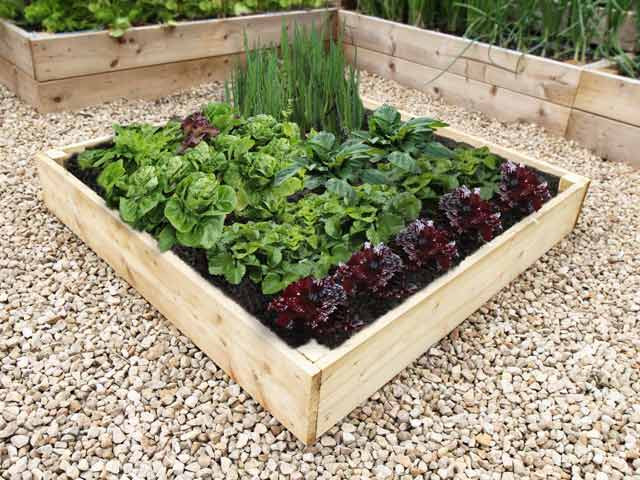 Allotment Style Raised Vegetable Beds