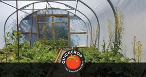 Polytunnel Succession Planting Plan 2021