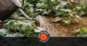 Water Wise Gardening