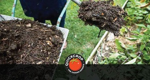 The Benefits of Mulching in the Garden