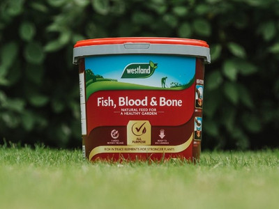 Westland Fish, Blood & Bone Meal