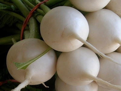 Turnip Seeds 'Polar'