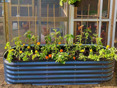 Vegtub Metal Raised Bed