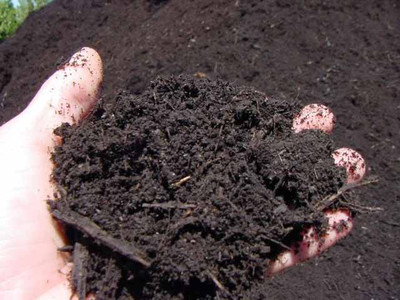 Bulk Bag Of Organic Compost - England & Wales Only